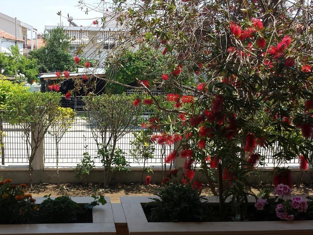 Zach'S House Villa เนอาโรดา ภายนอก รูปภาพ
