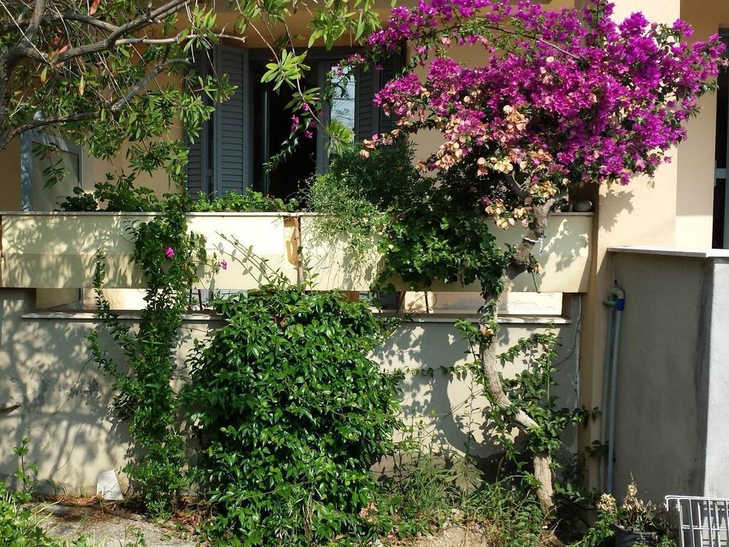 Zach'S House Villa เนอาโรดา ภายนอก รูปภาพ